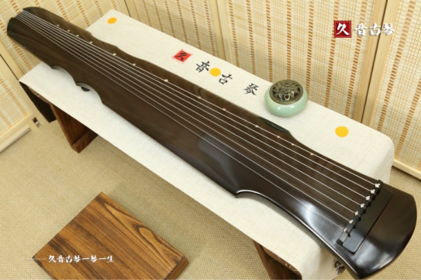 果洛藏族自治州初级演奏古琴【伏羲式】