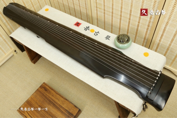 果洛藏族自治州初级演奏古琴【仲尼式】
